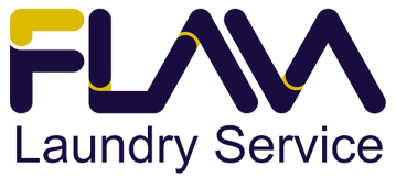 Logo Flava Laundry